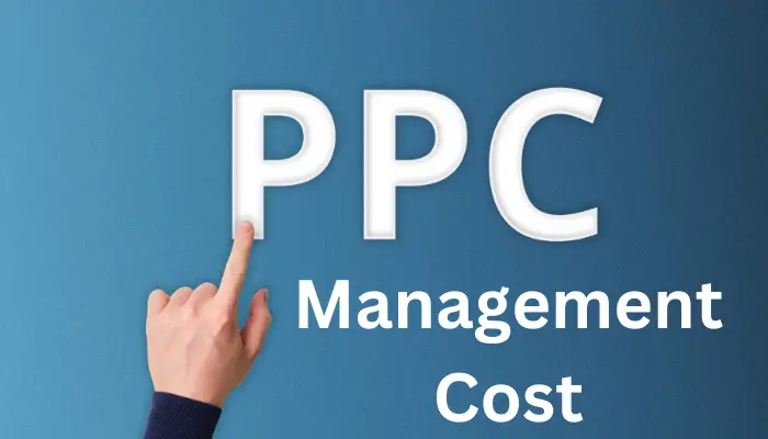 Driving Growth| Expert PPC Management for Small Businesses
