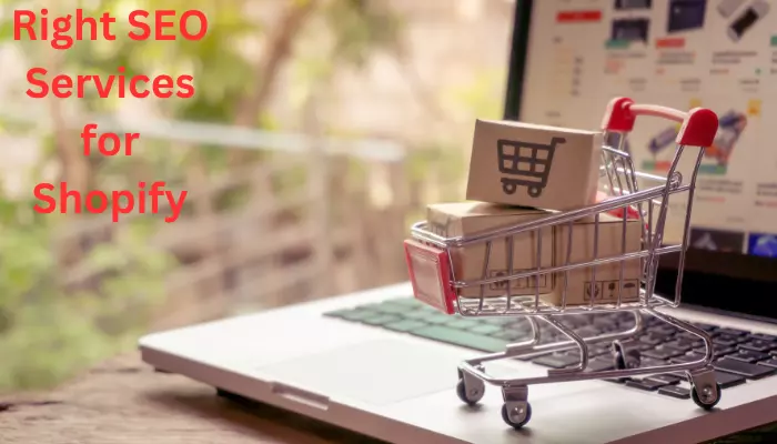 Drive Traffic Boost Conversions| Local Pro1's SEO Services for Shopify 
