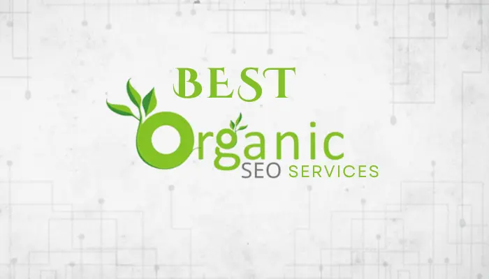 Best organic seo services