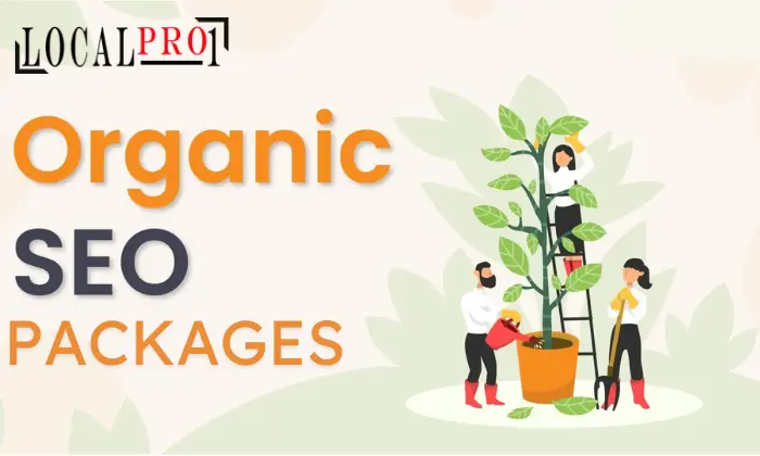 organic seo packages
