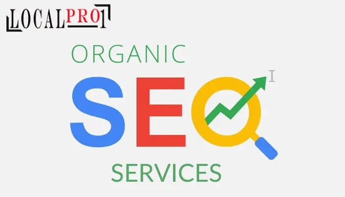 organic seo services