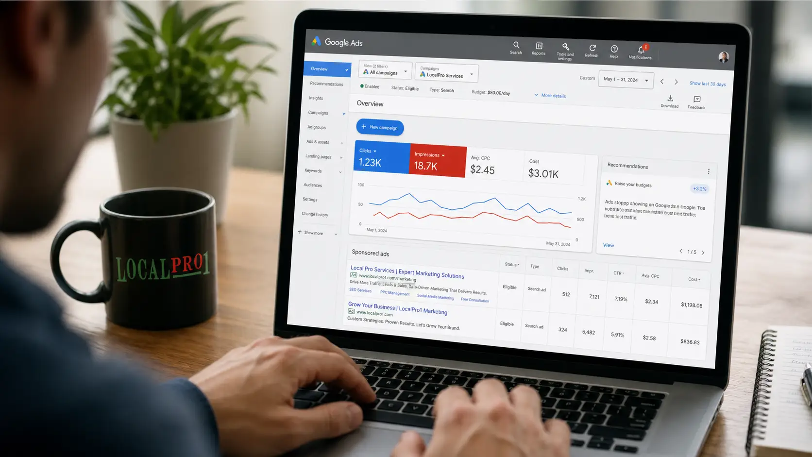 Google Ads campaign overview dashboard showing clicks, impressions, average CPC, and cost metrics for PPC management